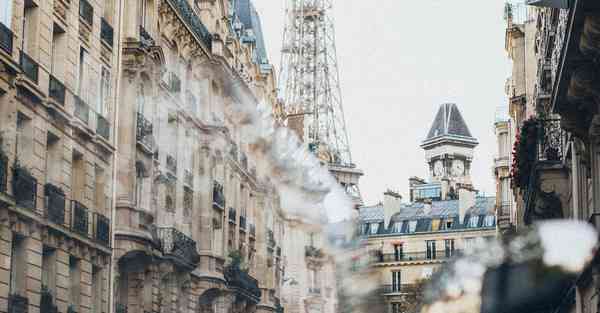 外国语单招大数据的行业文章