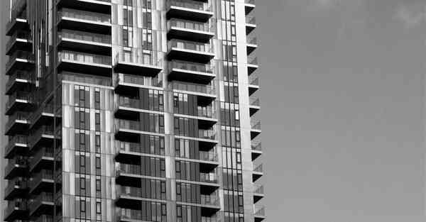 家庭智能宠物机器人价格 宠物机器人DOMGY