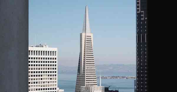 外国语单招大数据的行业文章