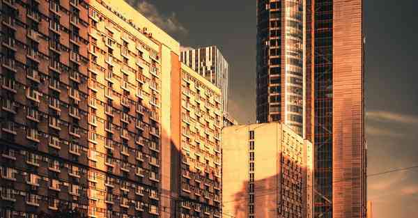 网上买菜大数据