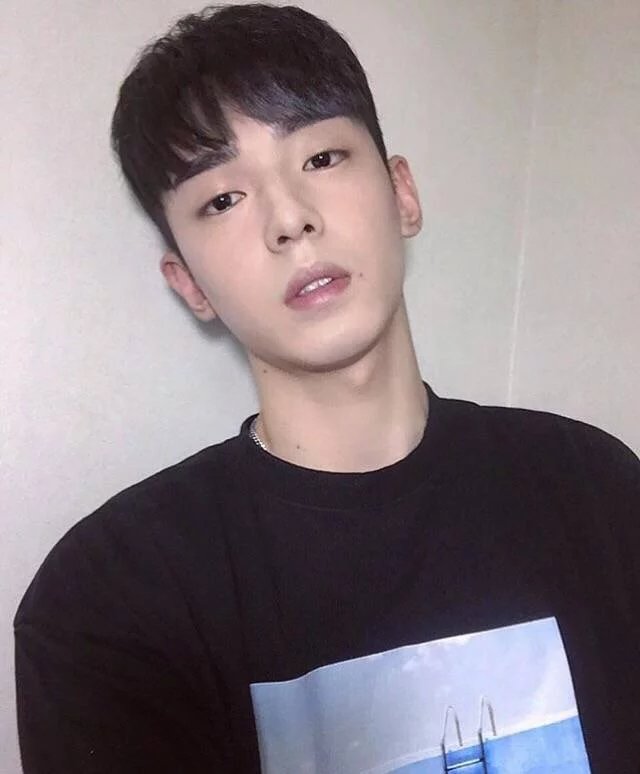 乔苑弘宝