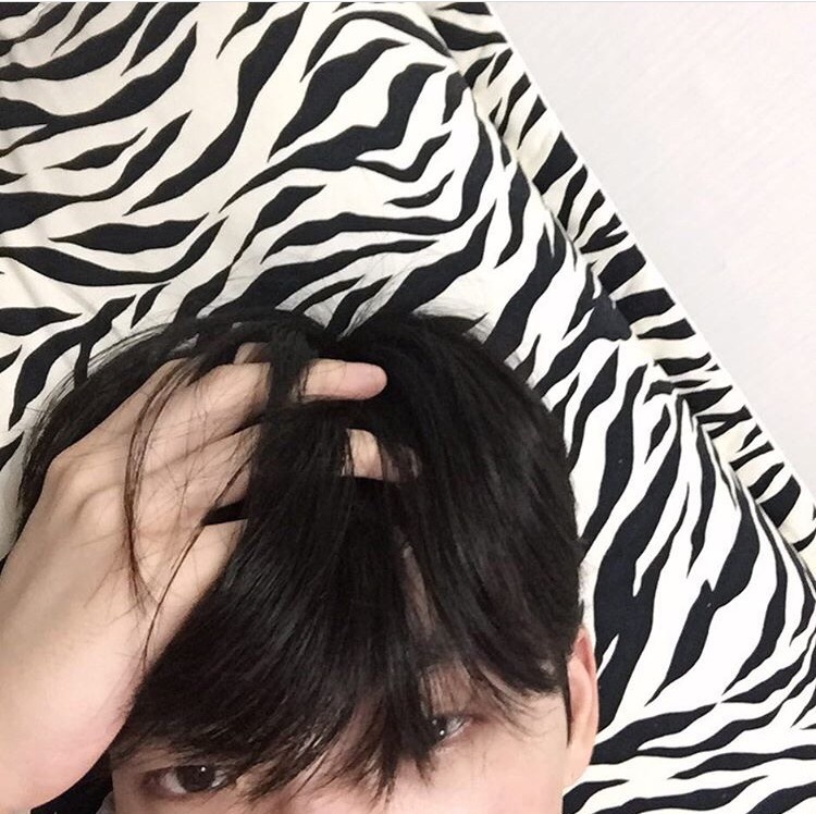 秦亮家蓝