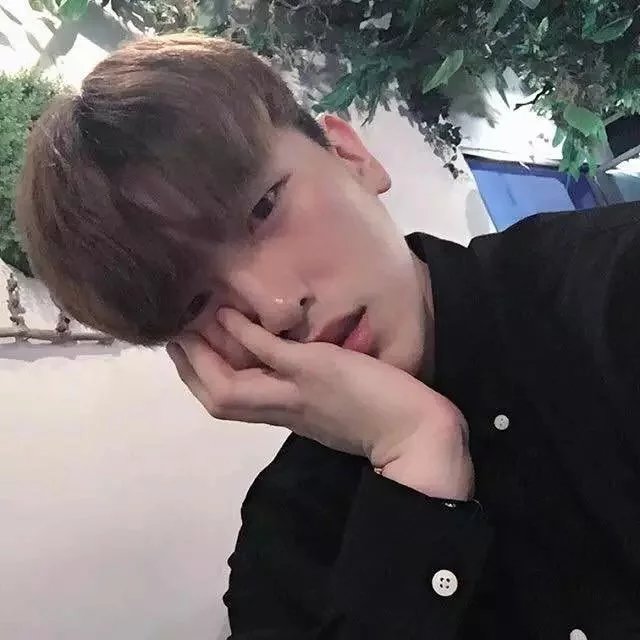 晏亨鸿娜