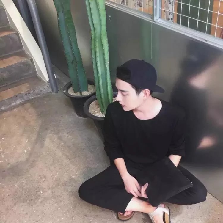 费蓓震翔