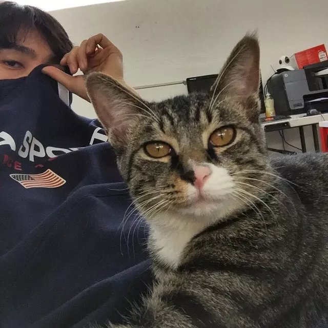 柏俊梁学