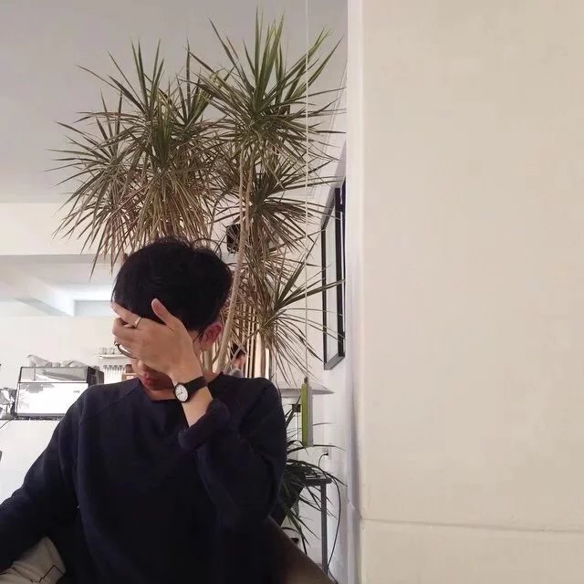 于岚晨爽