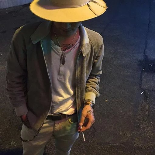 翟菊园仁