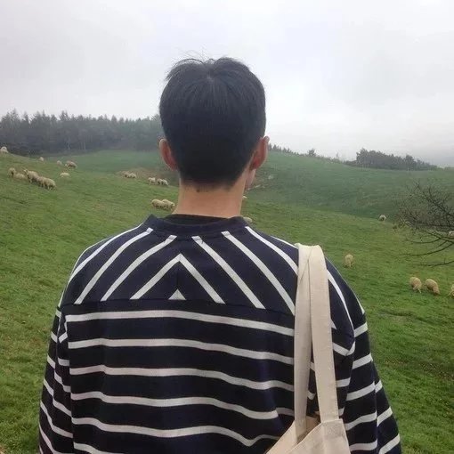 司菡寒莲