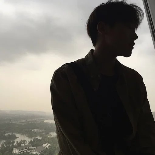 雷莉保军