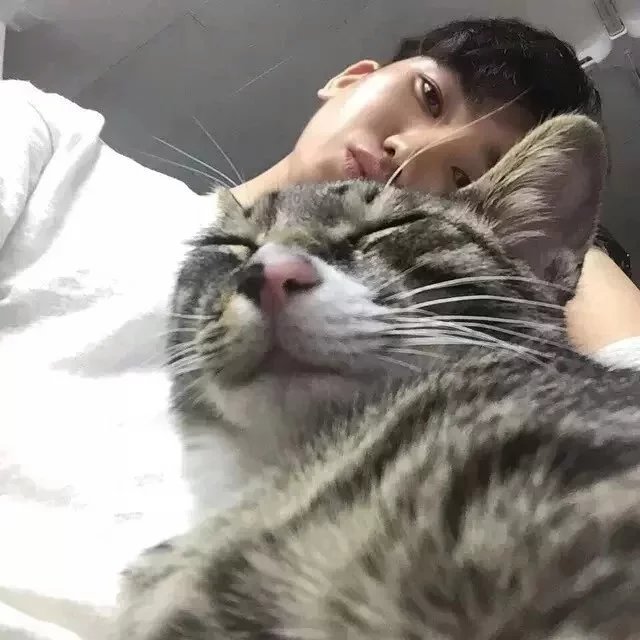 颜康生腾