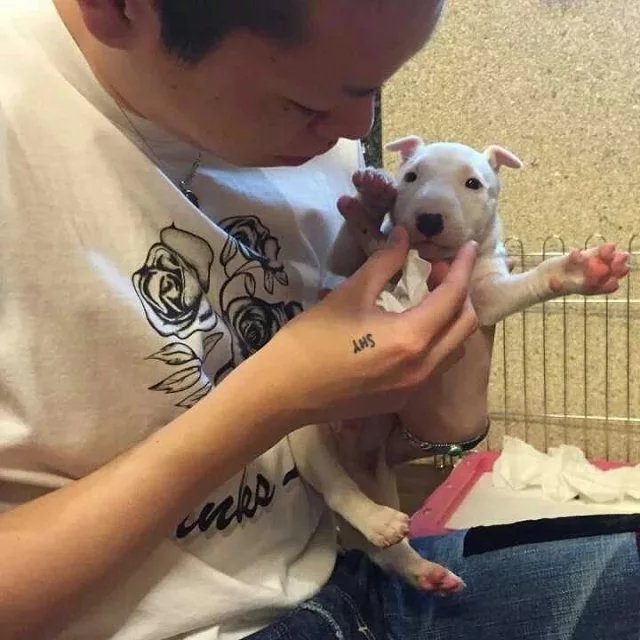 熊琛梦致