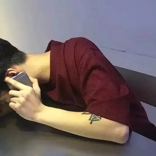 高启树唯