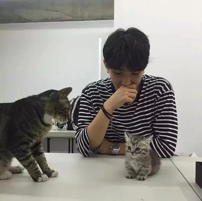 谈俊珊忠
